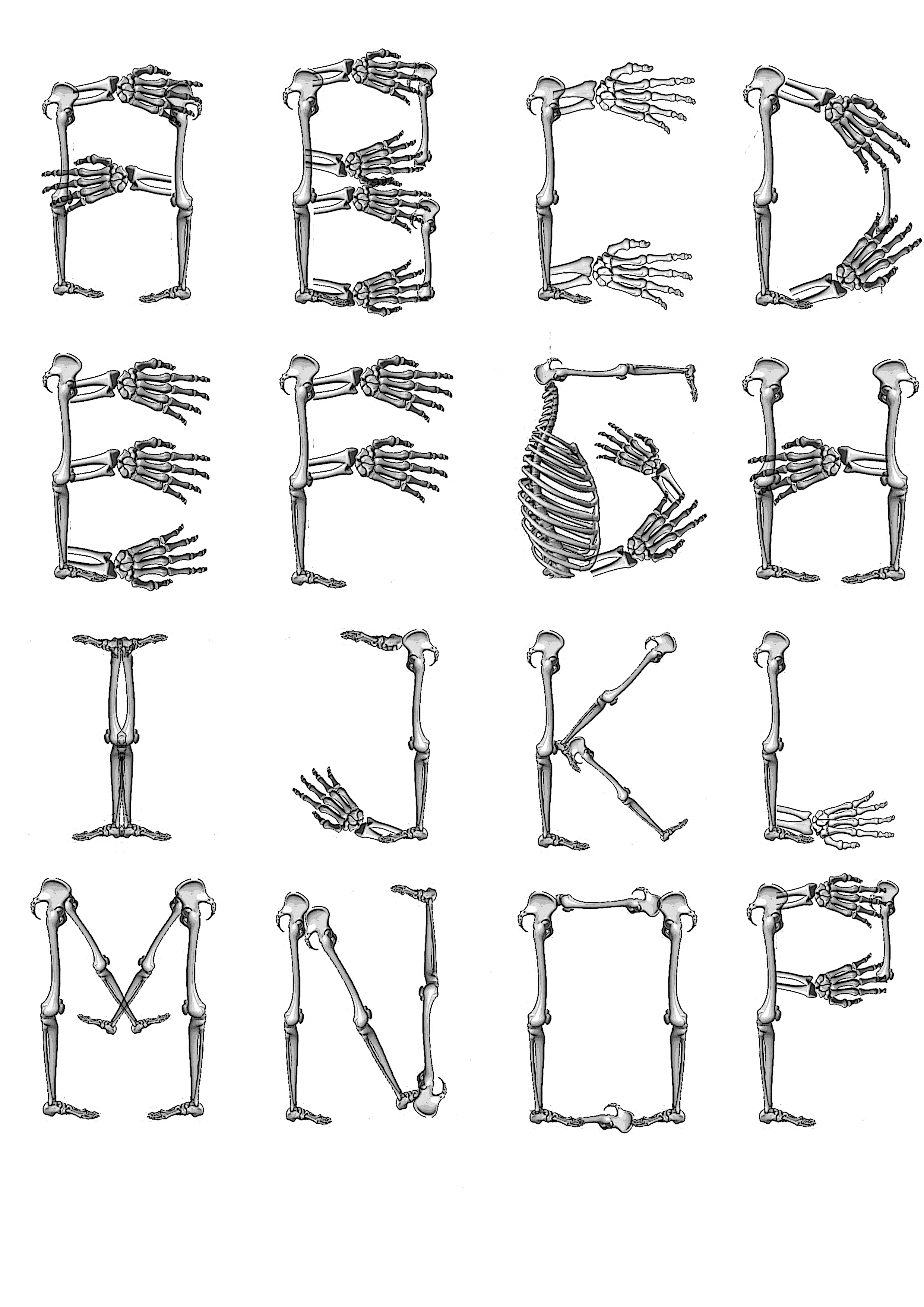 Bone Font Alphabet Letters