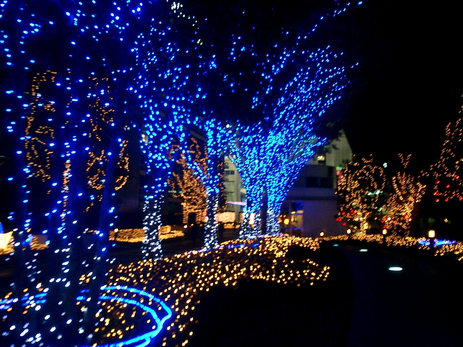 Bright Christmas Lights