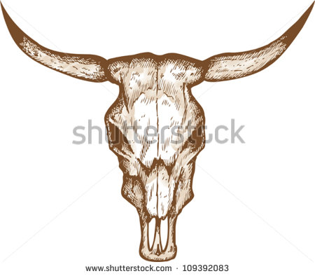 Bull Skull Drawings