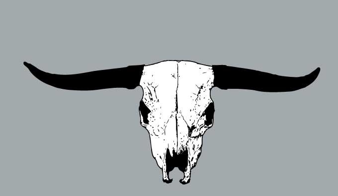 Bull Skull Vector