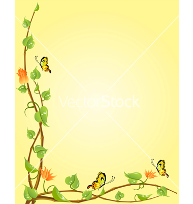 Butterfly Border Vector