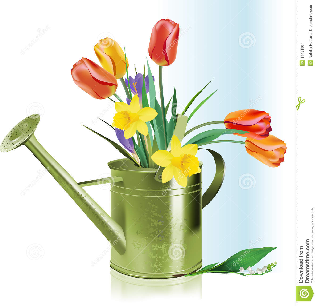 14 Watering Can With Flowers Vector Images