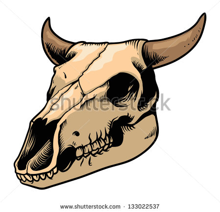 Cartoon Cow Skull