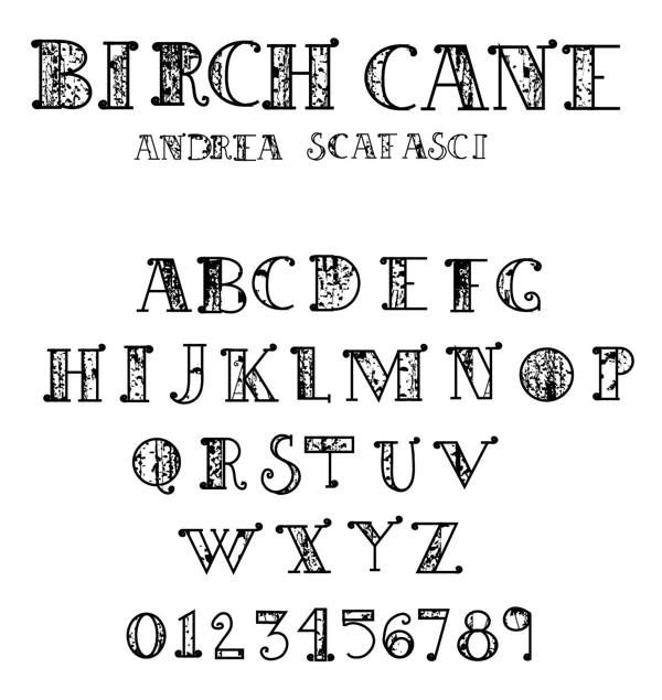 Colonial Type Font Times