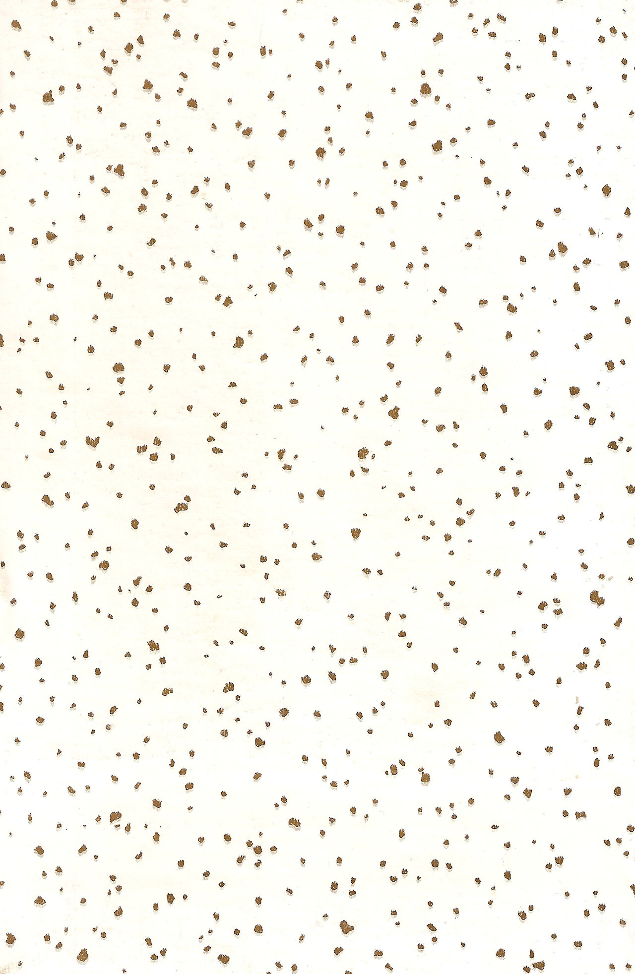 Dot Texture