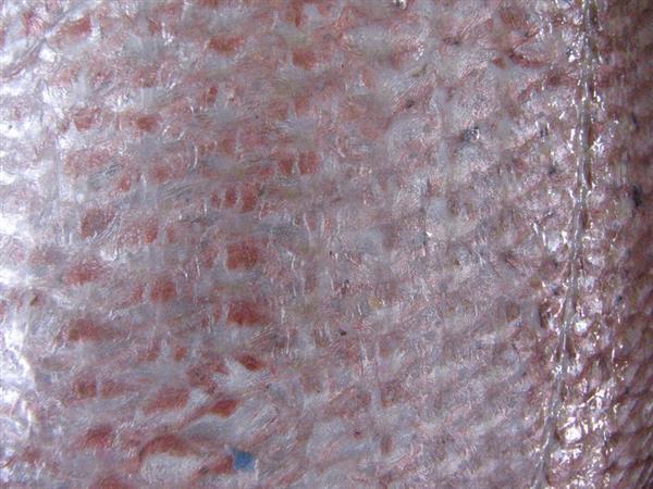 Fish Scales Texture