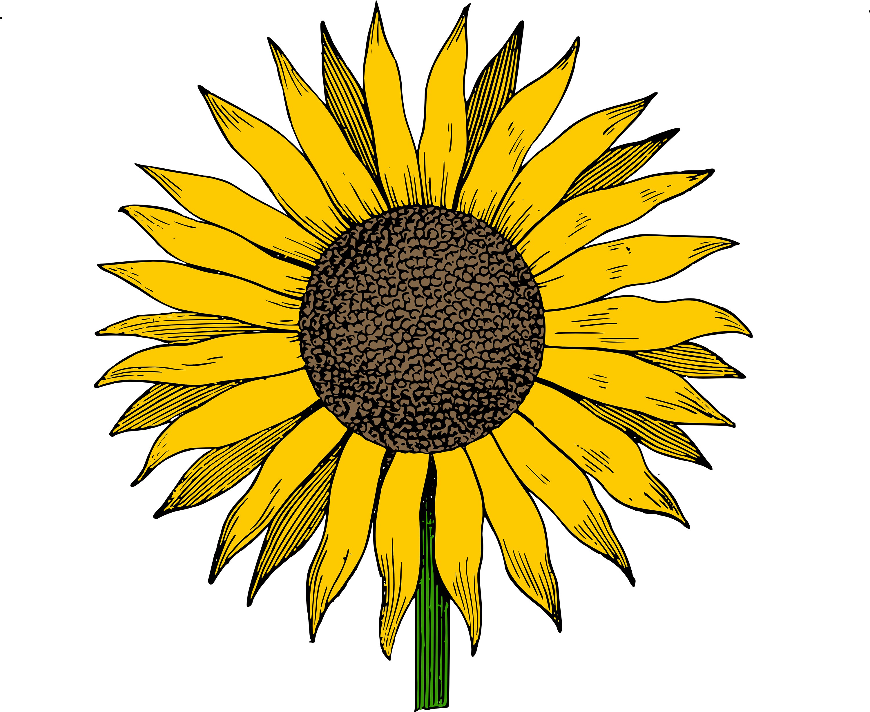Free Printable Sunflower Clip Art
