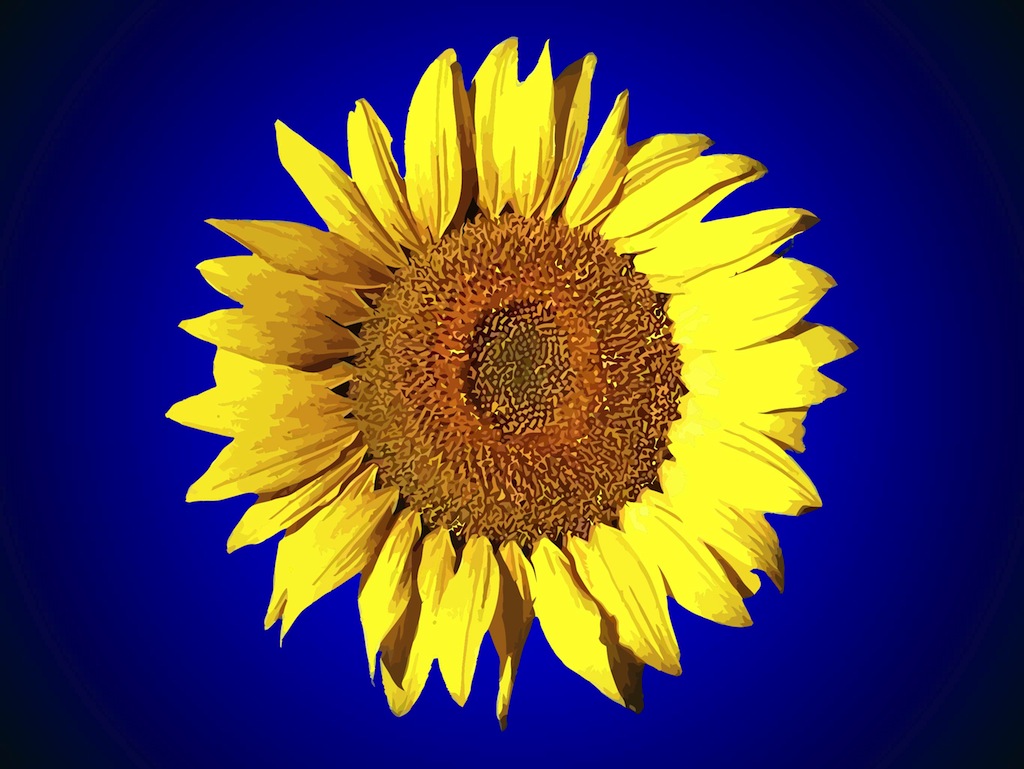 Free Sunflower Clip Art