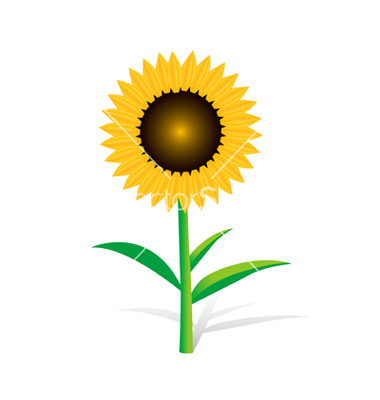 Free Sunflower Clip Art