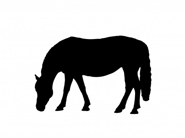 Grazing Horse Silhouette Clip Art