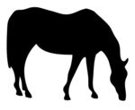 Grazing Horse Silhouette Clip Art