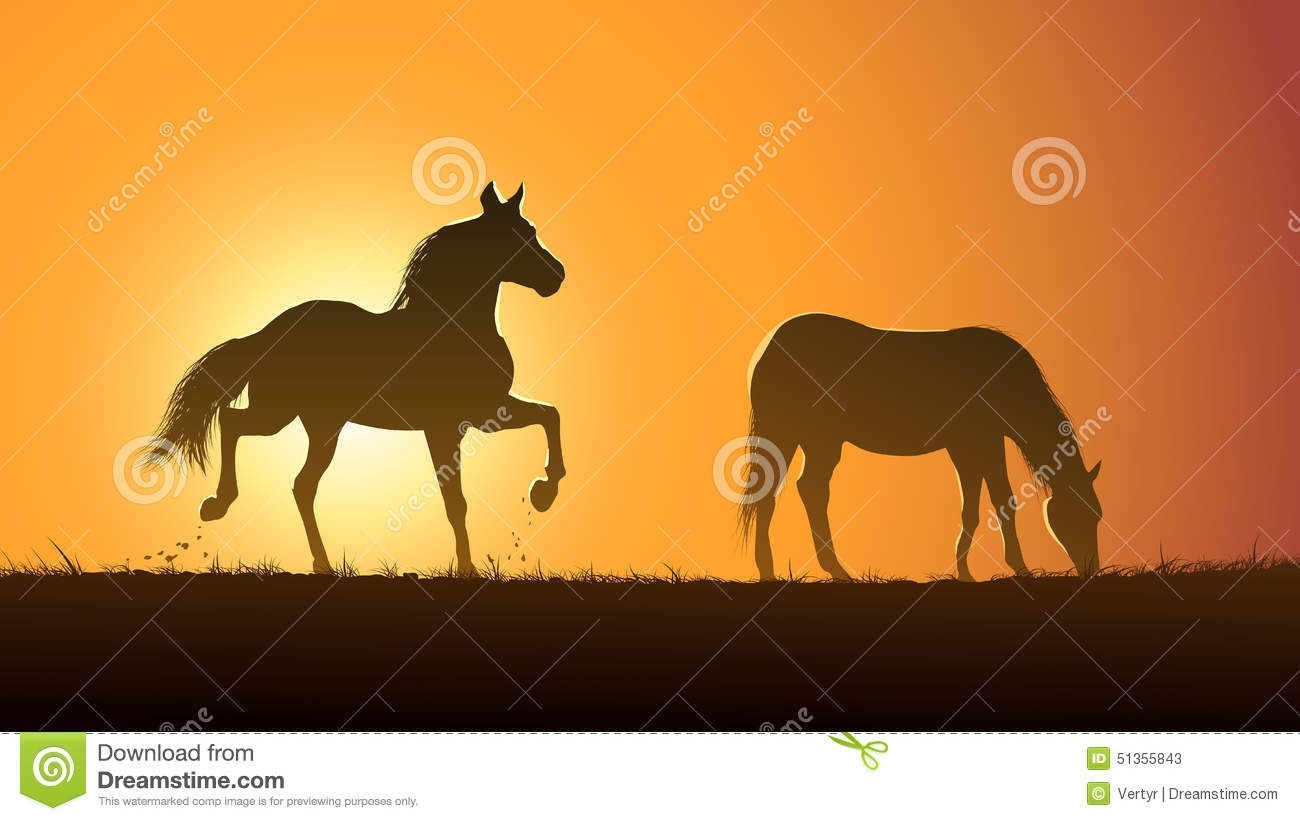 Grazing Horse Silhouette Sunset