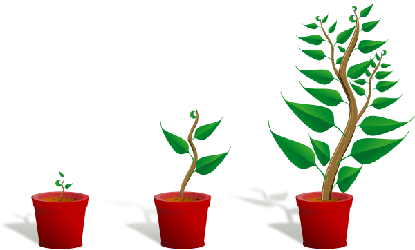 Growing Plant Clip Art