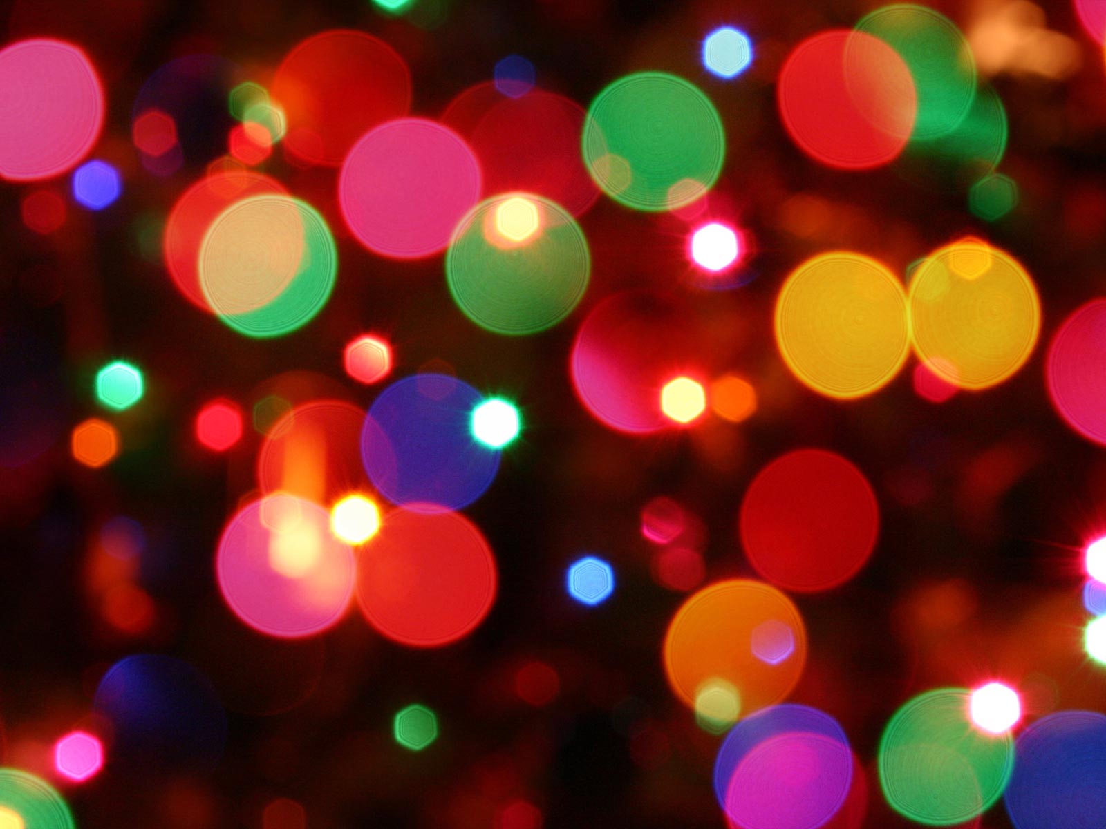Holiday Christmas Lights