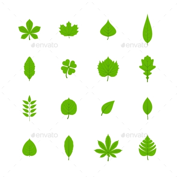 Icon Stock Photo Green Leaves