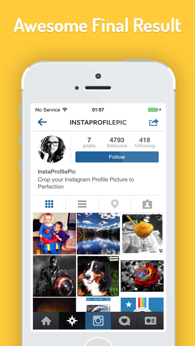 Instagram Profile iPhone