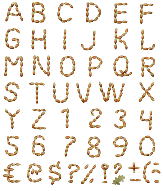 Log Font Alphabet