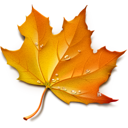 Maple Fall Leaves Icon