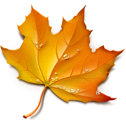 Maple Fall Leaves Icon Maple Fall Leaves Icon