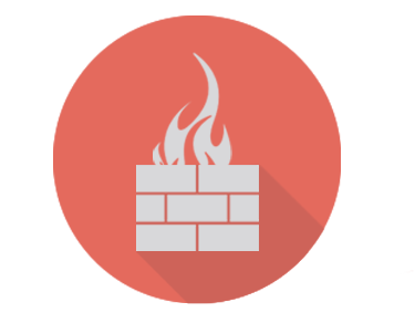 Network Firewall Icon