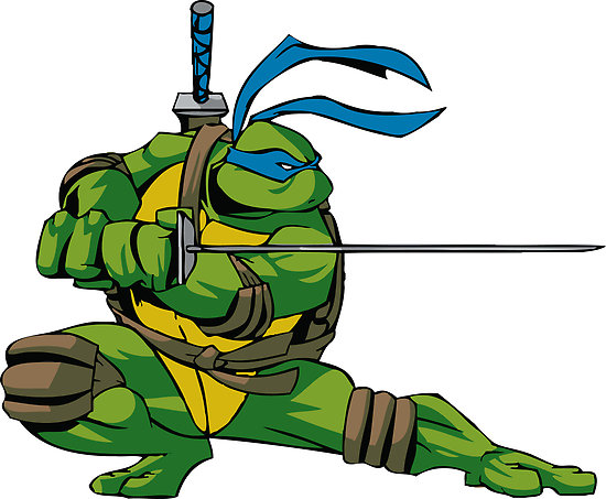 Ninja Turtles Ninja Turtles