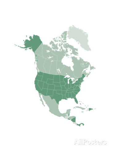 North America Vector Map