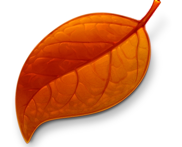 Painted Leaf Icon Painted Leaf Icon