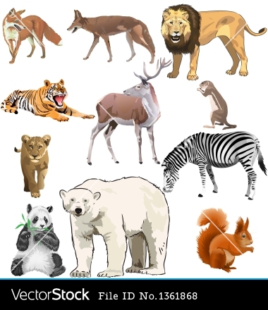 Photos Animals Vectors Downloads