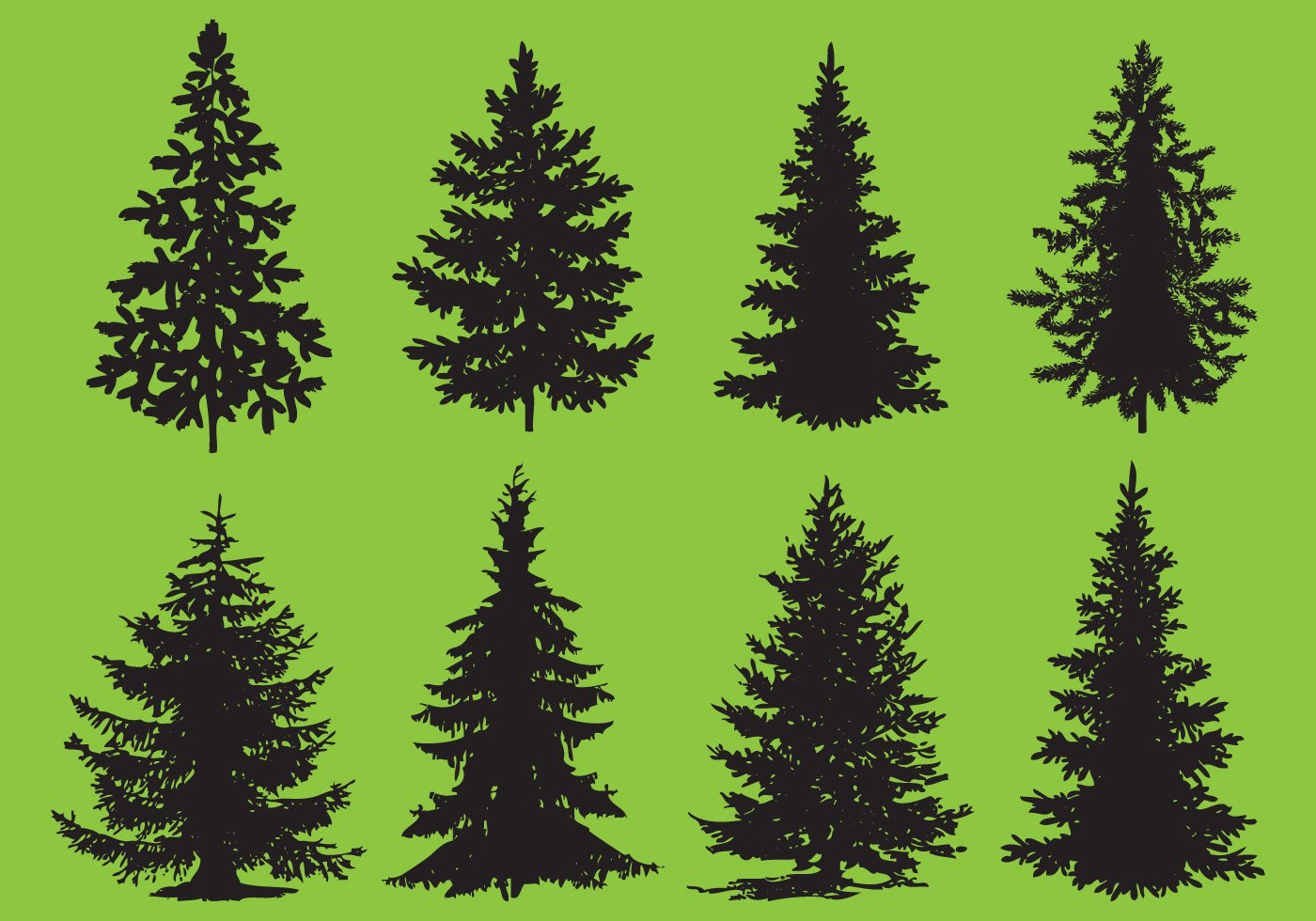 Pine Tree Vector