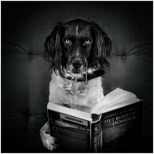 Reading Black and White Photography