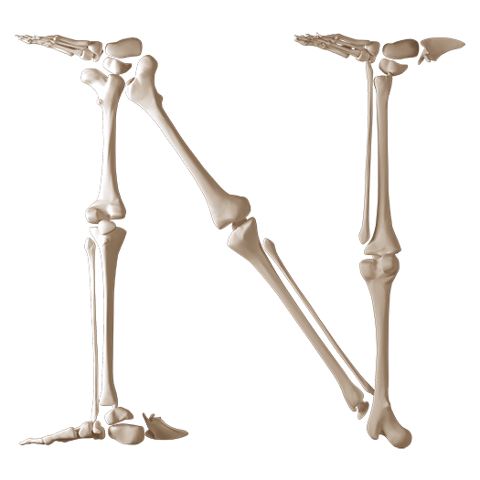 Skeleton Bones Font Letters