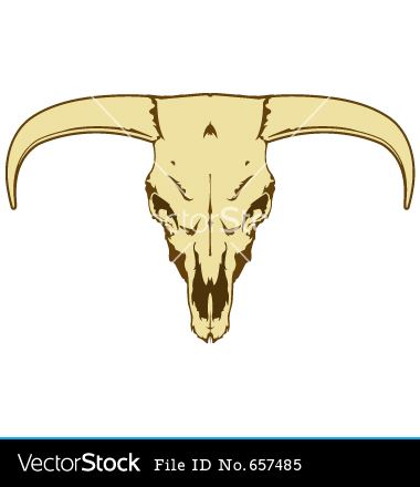 Steer Skull Vector