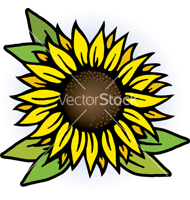 Sunflower Vector