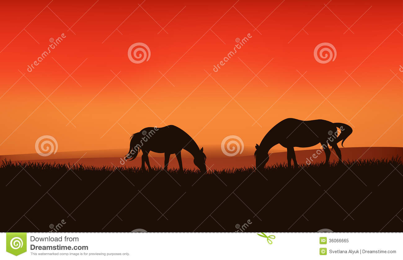 Sunset Farm Scene Silhouette