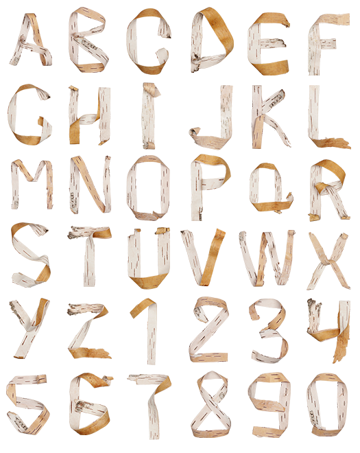 16 Birch Log Font Images Birch Font Letters Colonial Type Font Times