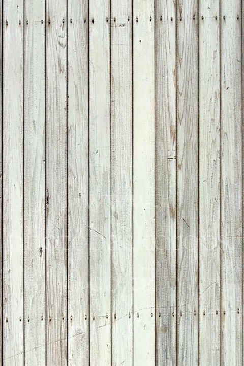 White Wall and Floor Backdrops White Wall and Floor Backdrops