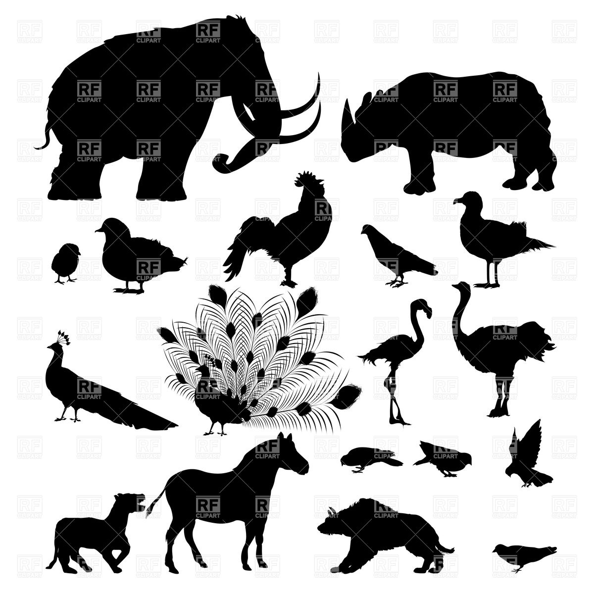 Wild Animals Silhouette Vector