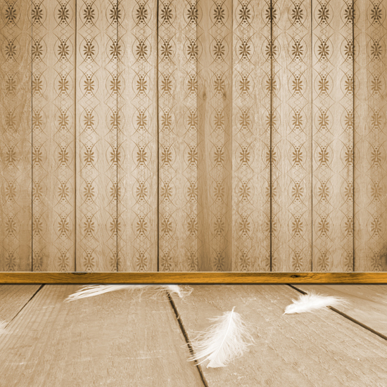 Wood Floor and Wall Backdrop
