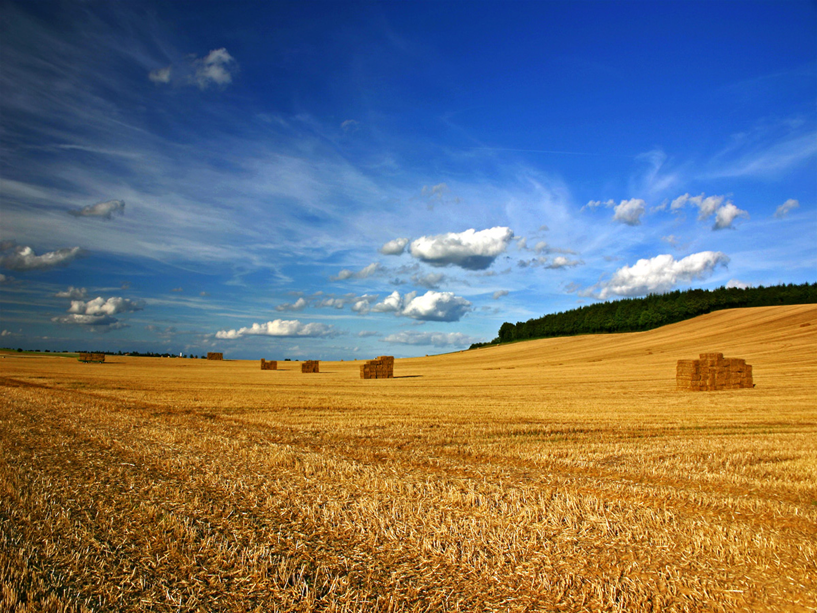 Beautiful Landscapes as Background