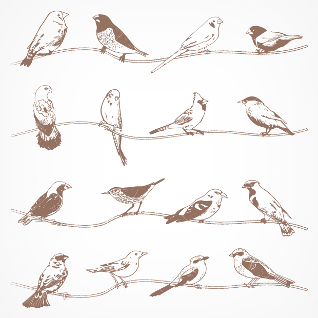 Bird On Branches Free Vectors Bird On Branches Free Vectors