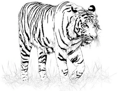 Black and White Tiger Silhouette Black and White Tiger Silhouette