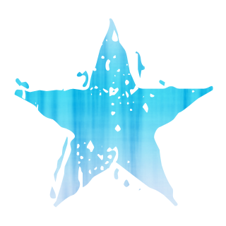 Blue Star Icon