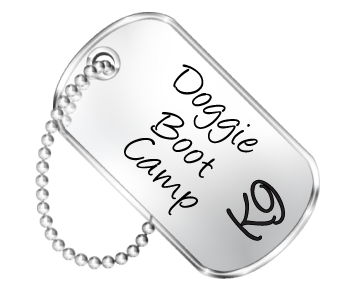 Boot Camp Dog Tags