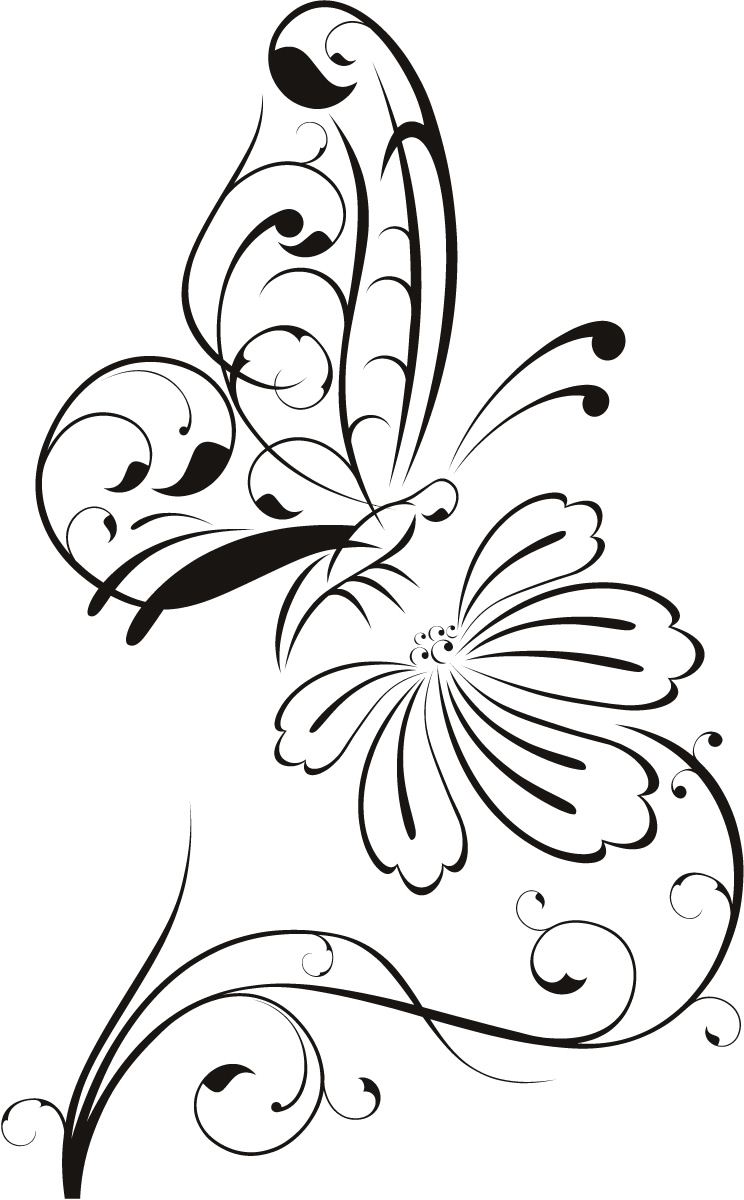 Butterfly On Flower Outline Butterfly On Flower Outline