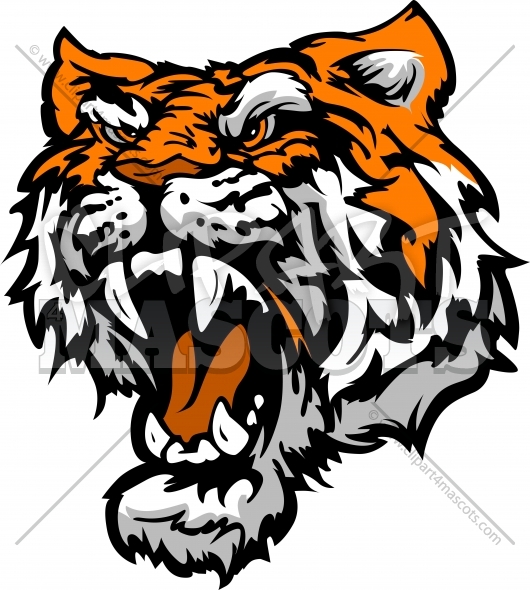 Cartoon Tiger Mascot Vector