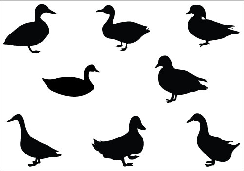 Duck Silhouette Clip Art