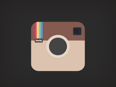 Flat Instagram Icon Vector