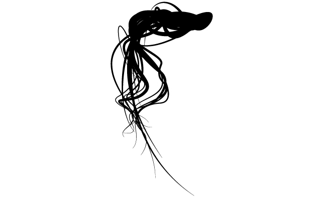 Flowing Hair Vector