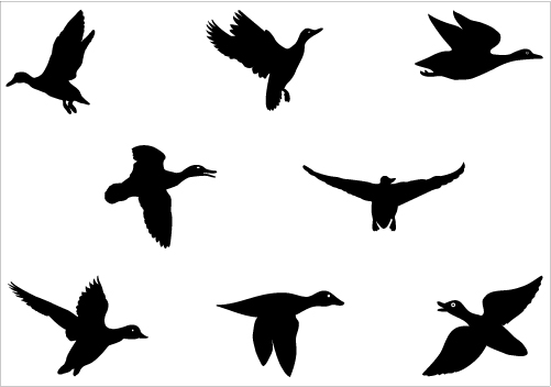 15 Photos of Duck Silhouette Vector