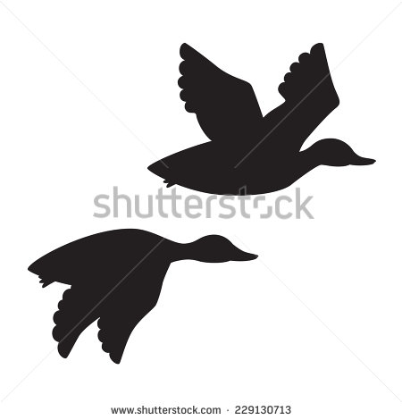 Flying Duck Silhouette Vector